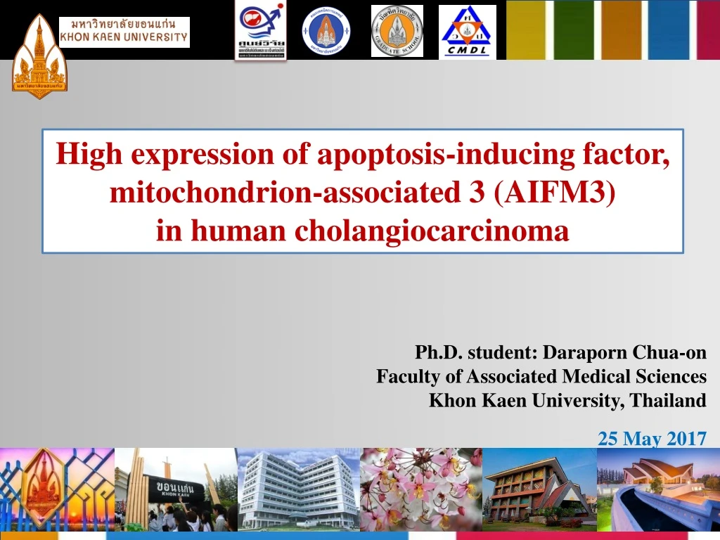 high expression of apoptosis inducing factor