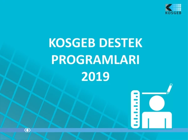 KOSGEB DESTEK PROGRAMLARI 2019