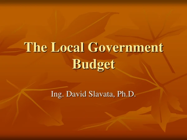 The Local Government  Budget