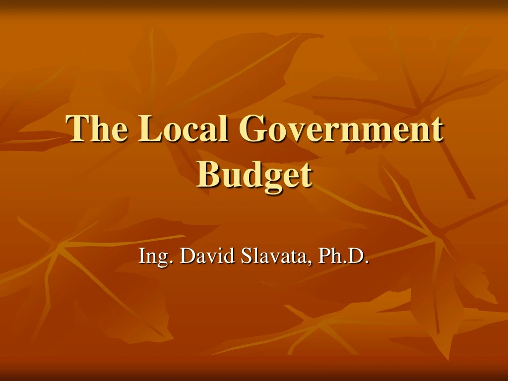 the local government budget