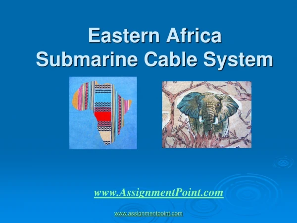 Eastern Africa  Submarine Cable System