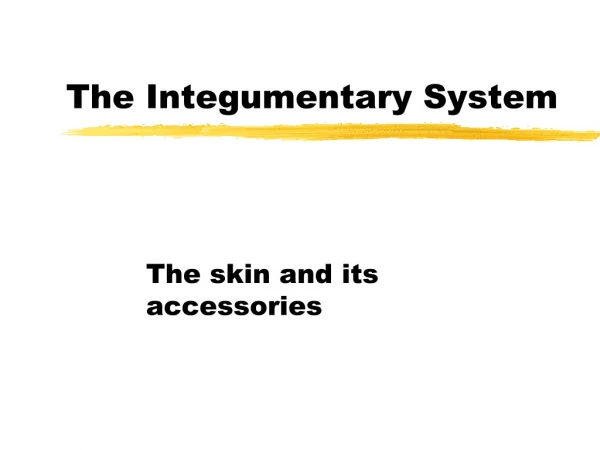 The Integumentary System