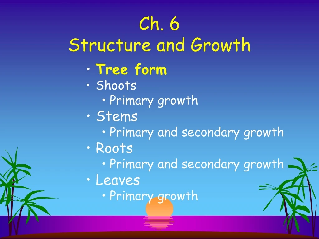 ch 6 structure and growth