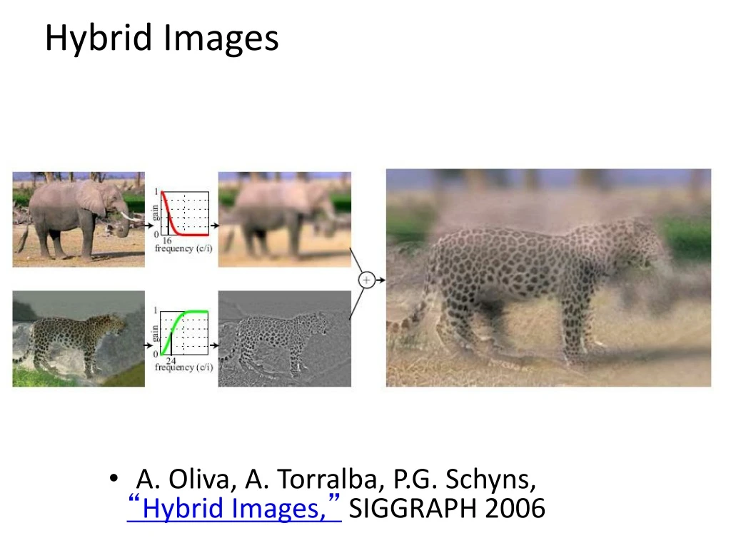 hybrid images