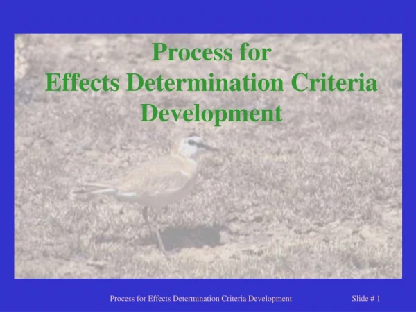 Process for  Effects Determination Criteria Development