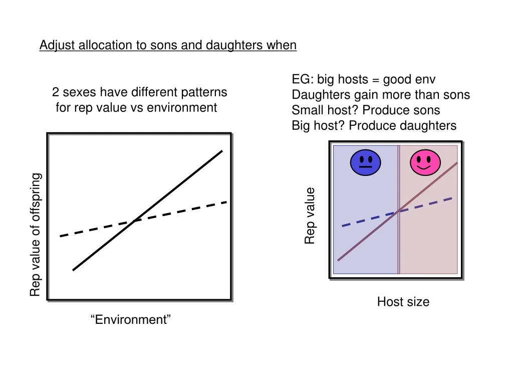 adjust allocation to sons and daughters when