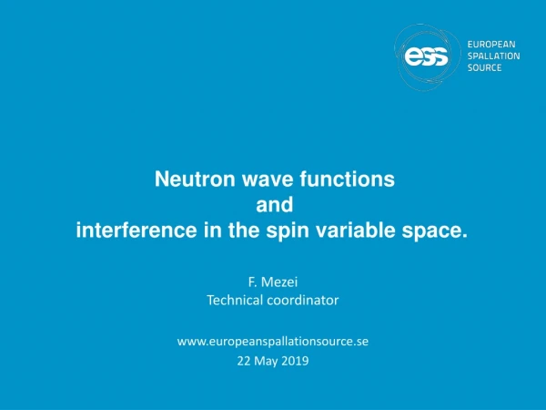 Neutron wave  functions and  interference  in the spin variable space.