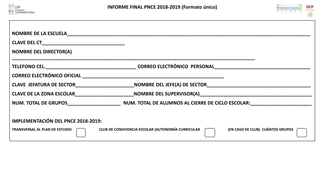 informe final pnce 2018 2019 formato nico