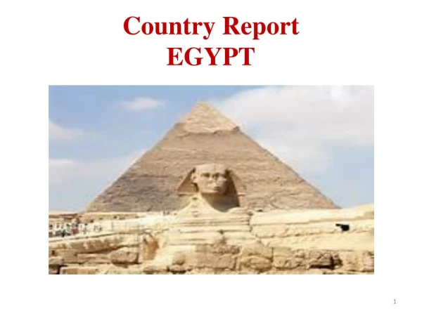 Country Report  EGYPT