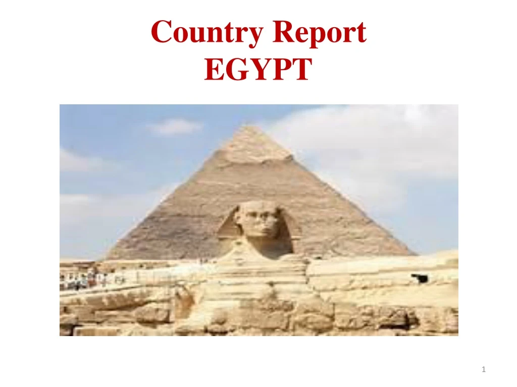 country report egypt