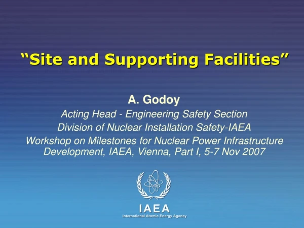 A. Godoy Acting Head - Engineering Safety Section Division of Nuclear Installation Safety-IAEA