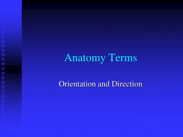 Anatomy Terms