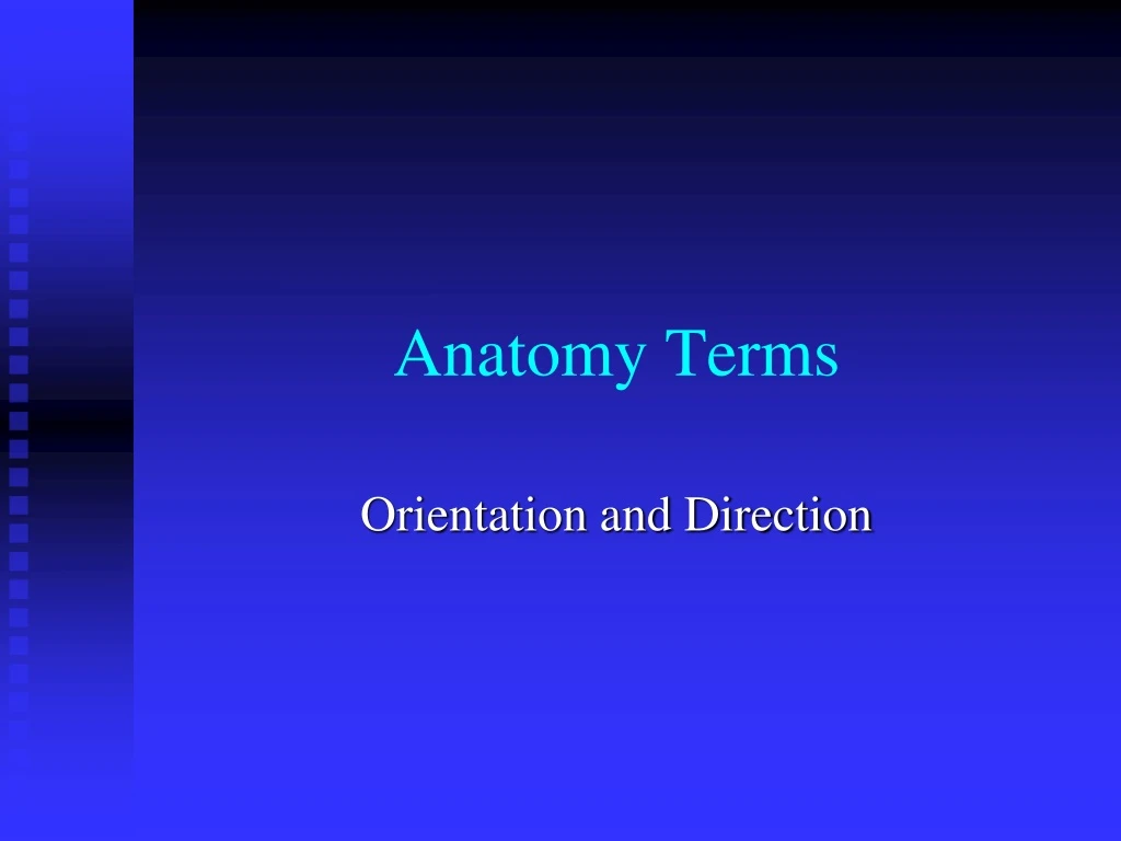 anatomy terms