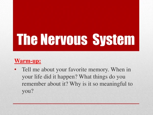 The Nervous  System