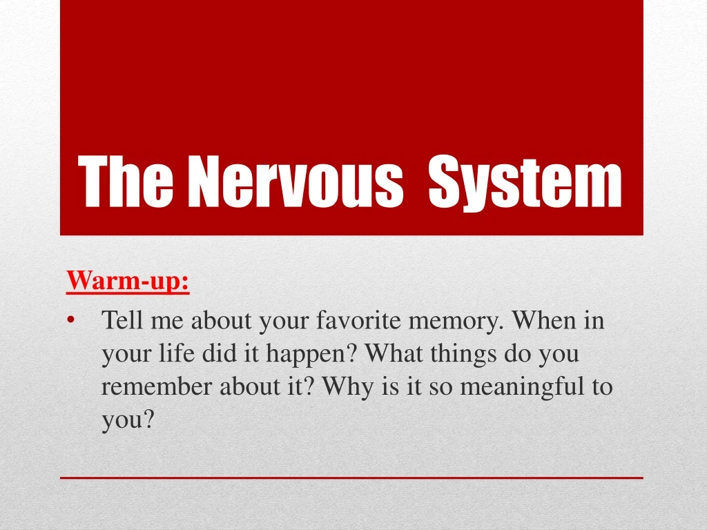 the nervous system