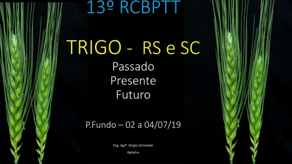 13º RCBPTT TRIGO  -  RS e SC Passado Presente Futuro P.Fundo  – 02 a 04/07/19