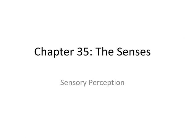 Chapter 35: The Senses