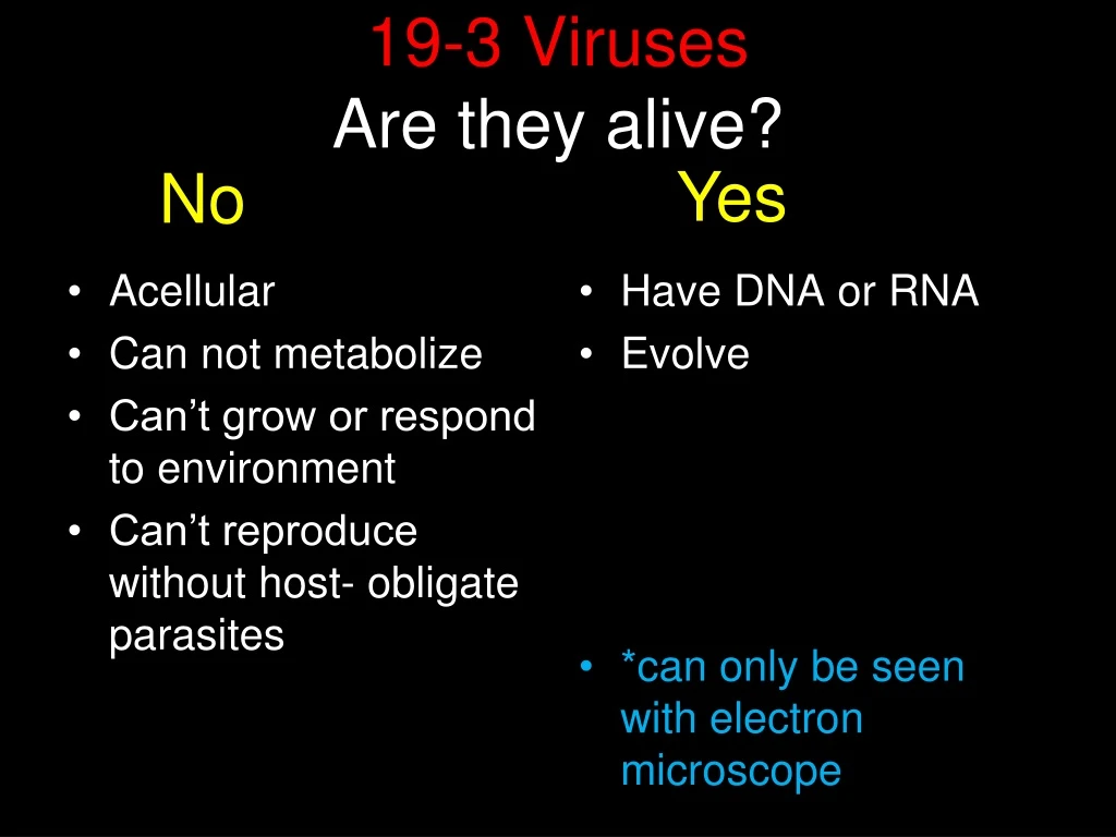 19 3 viruses are they alive