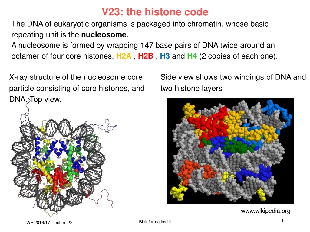 v23 the histone code