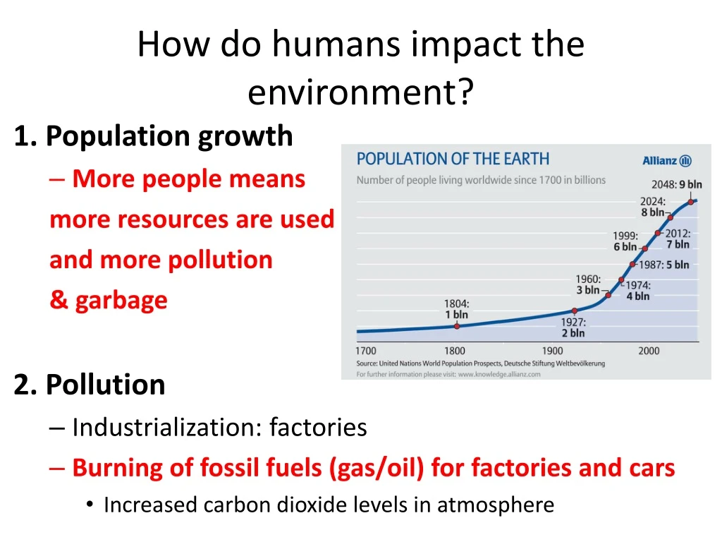 how do humans impact the environment