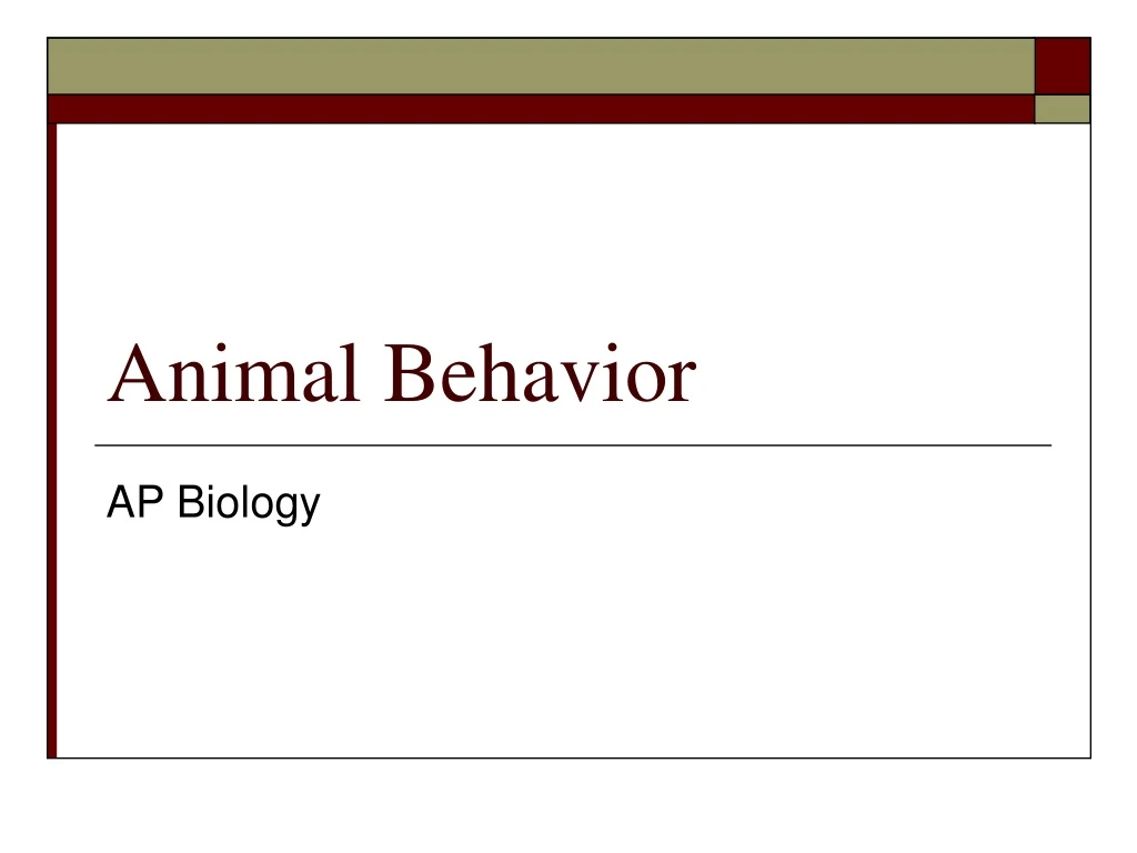 animal behavior