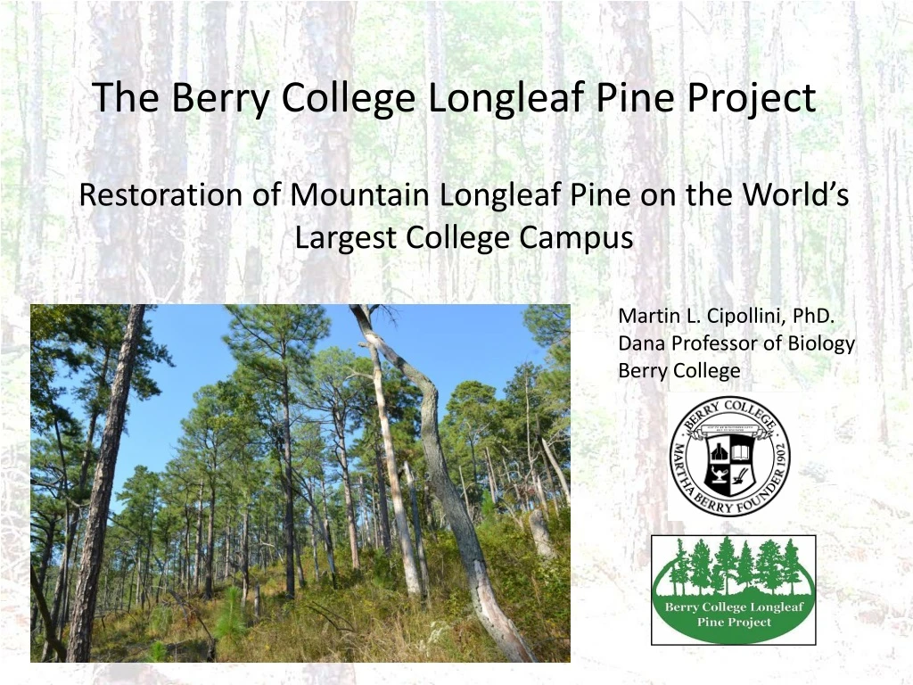 the berry college longleaf pine project