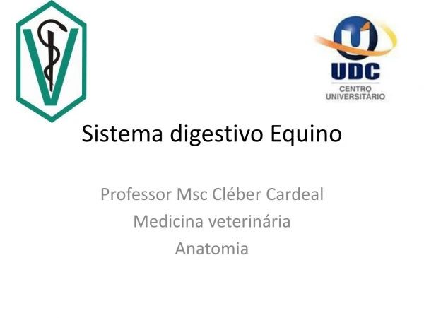 Sistema digestivo  Equino