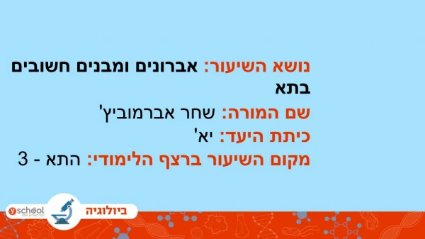 אברונים ומבנים חשובים