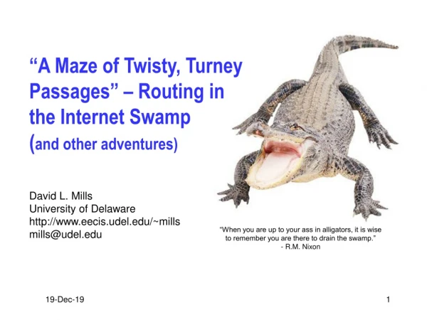“A Maze of Twisty, Turney Passages” – Routing in the Internet Swamp ( and other adventures)