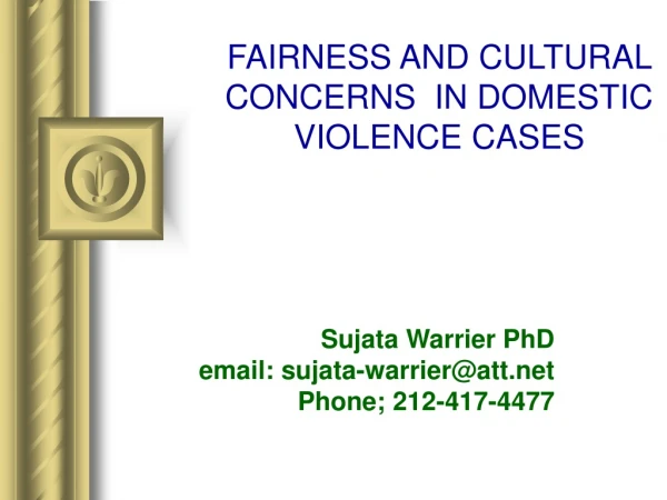 FAIRNESS AND CULTURAL CONCERNS  IN DOMESTIC VIOLENCE CASES