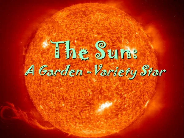 The Sun: A Garden -Variety Star