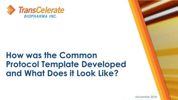 How  was the Common Protocol Template  Developed and What Does it Look Like?