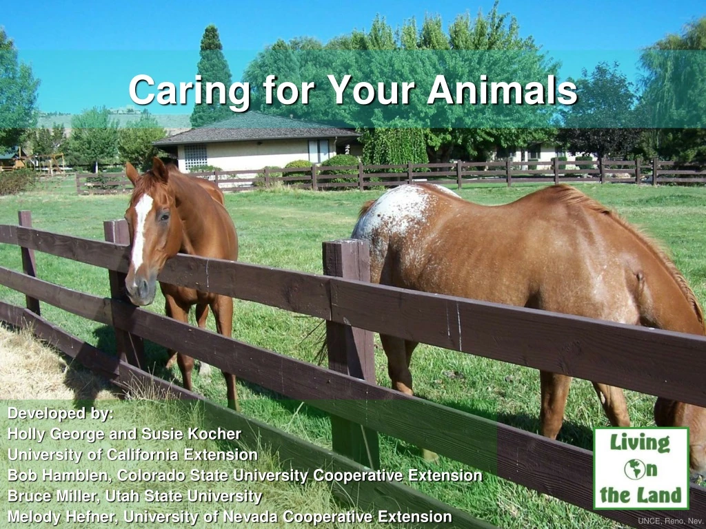 caring for your animals