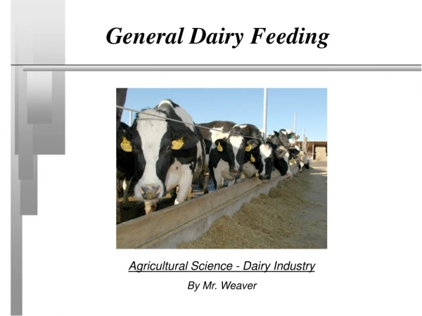 General Dairy Feeding
