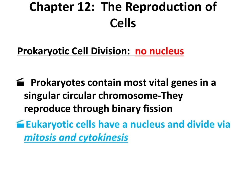 chapter 12 the reproduction of cells