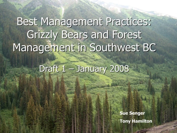Best Management Practices:  Grizzly Bears and Forest Management in Southwest BC