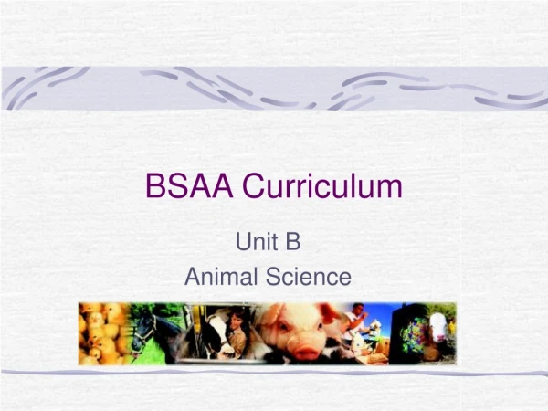 BSAA Curriculum