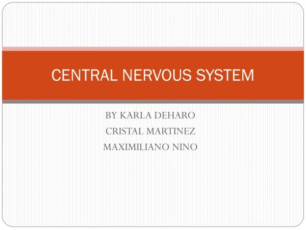 CENTRAL NERVOUS SYSTEM