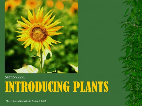 Introducing plants
