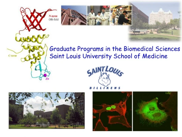 Graduate Programs in the Biomedical Sciences Saint Louis University School of Medicine