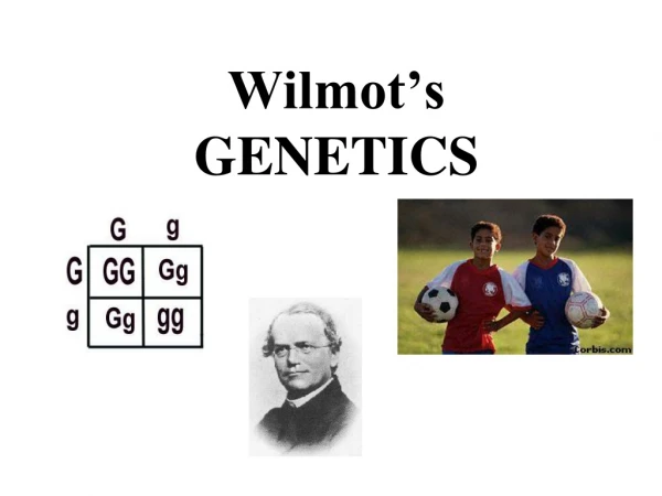 Wilmot’s GENETICS