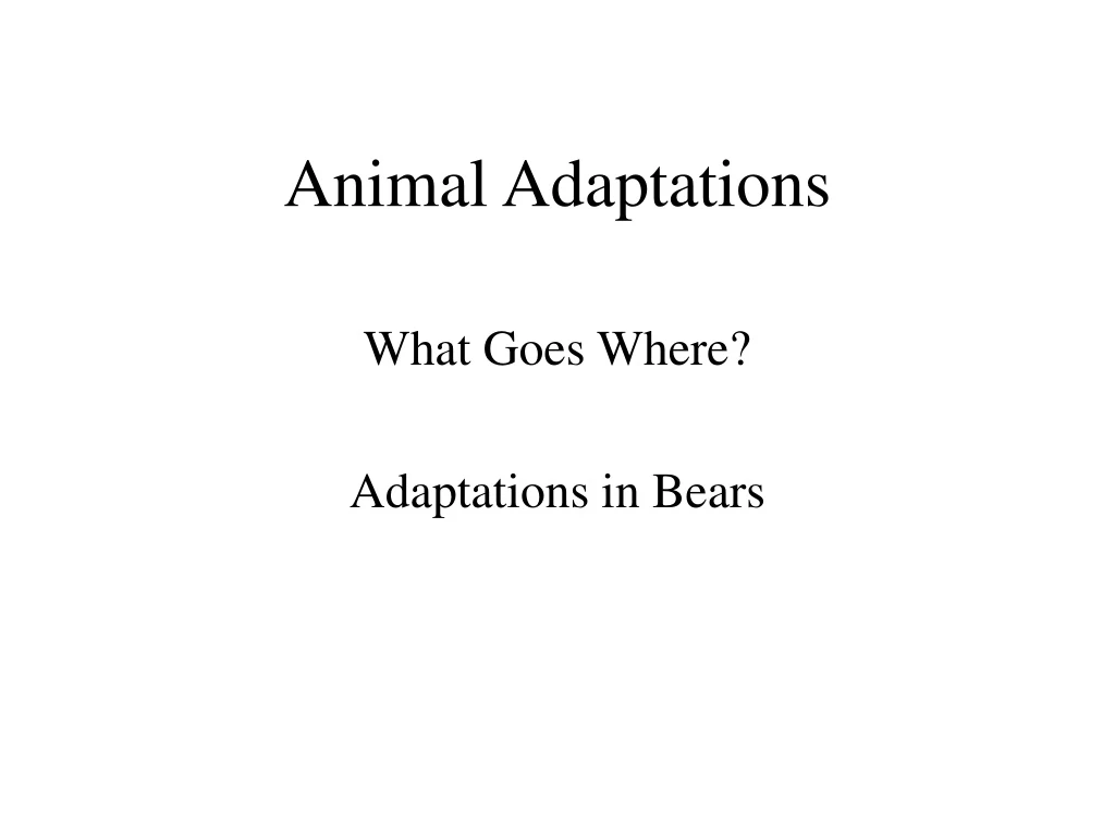 animal adaptations