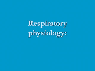 PPT - Respiratory Physiology PowerPoint Presentation, free download ...