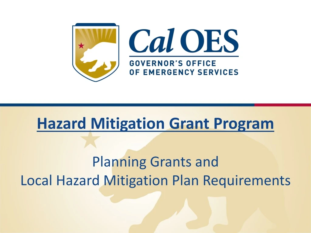 hazard mitigation grant program planning grants and local hazard mitigation plan requirements