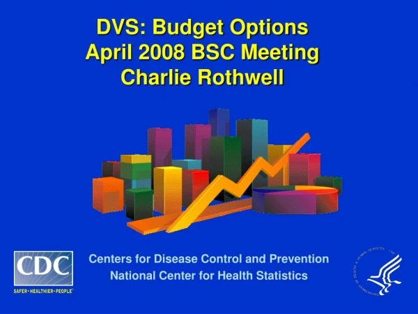 DVS: Budget Options April 2008 BSC Meeting Charlie Rothwell