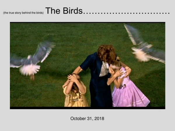 (the true story behind the birds)   The Birds…………………………