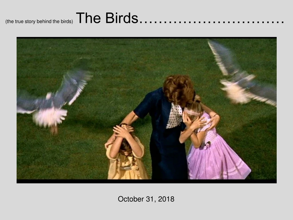 the true story behind the birds the birds