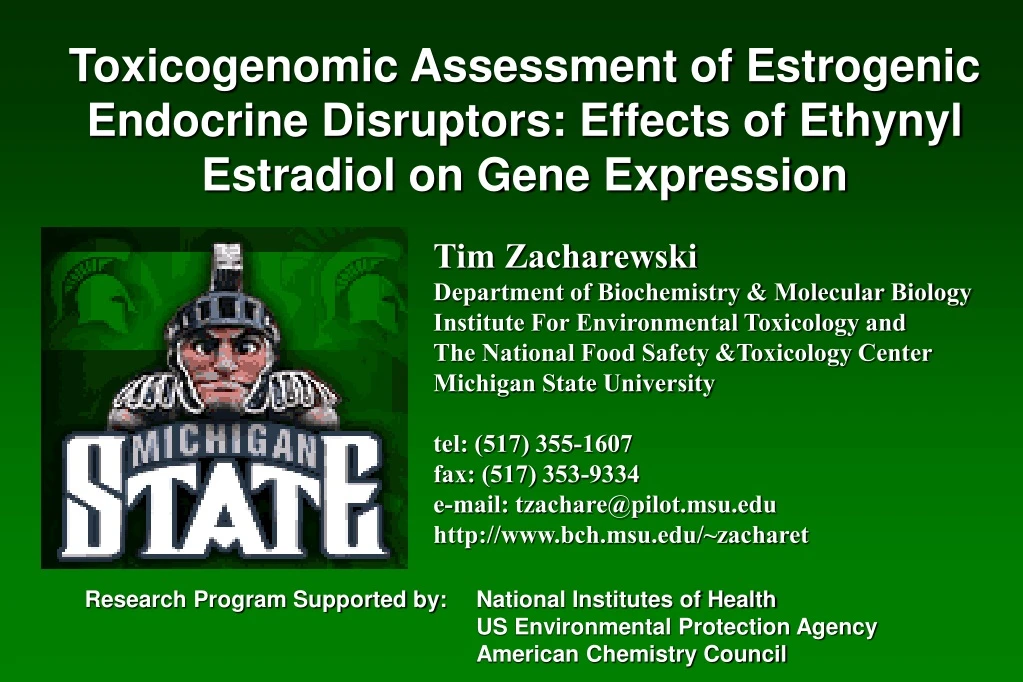 toxicogenomic assessment of estrogenic endocrine