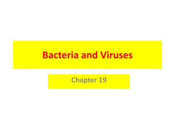 Bacteria and Viruses