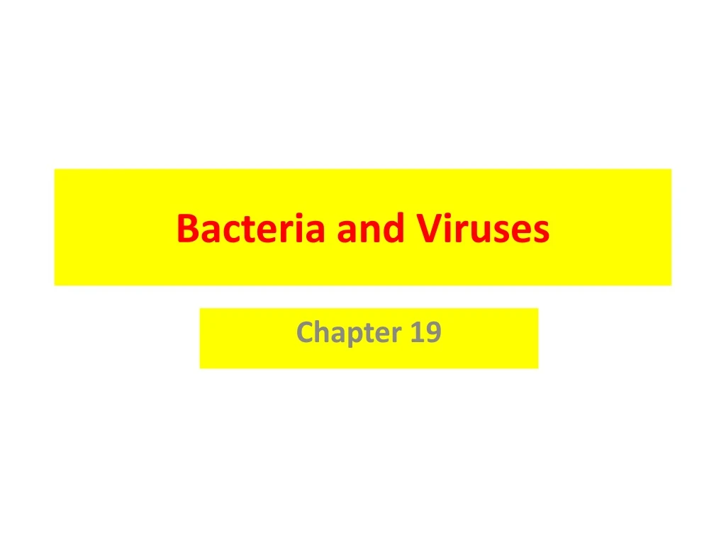 bacteria and viruses